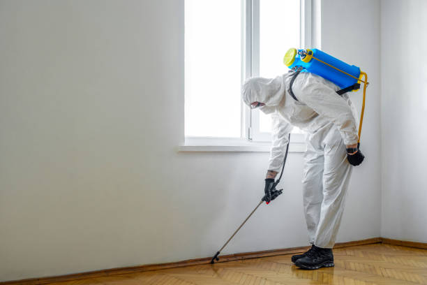 Best Flea Control Services  in Saint Davids, PA